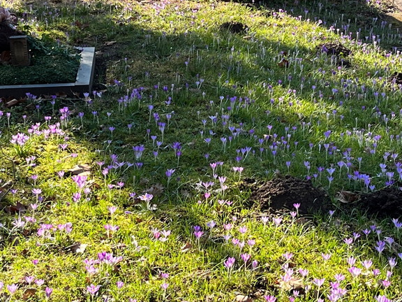 23-02-13 12-56-09 4191